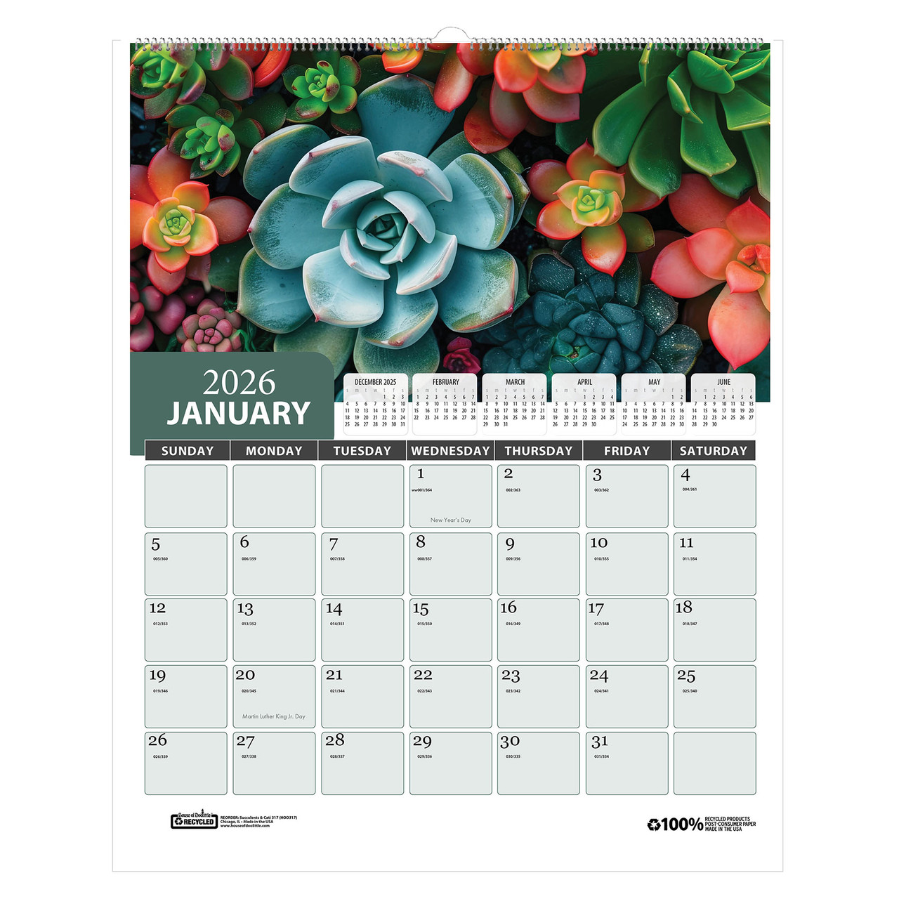 2026 Succulent Care Calendar: Month-by-Month Guide for Healthy Indoor Succulents