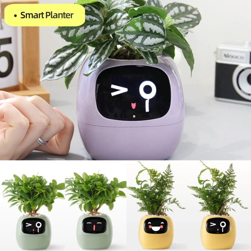 2026 Succulent Care Revolution: Smart Sensors and AI-Powered Plant Monitoring for Perfect Watering
