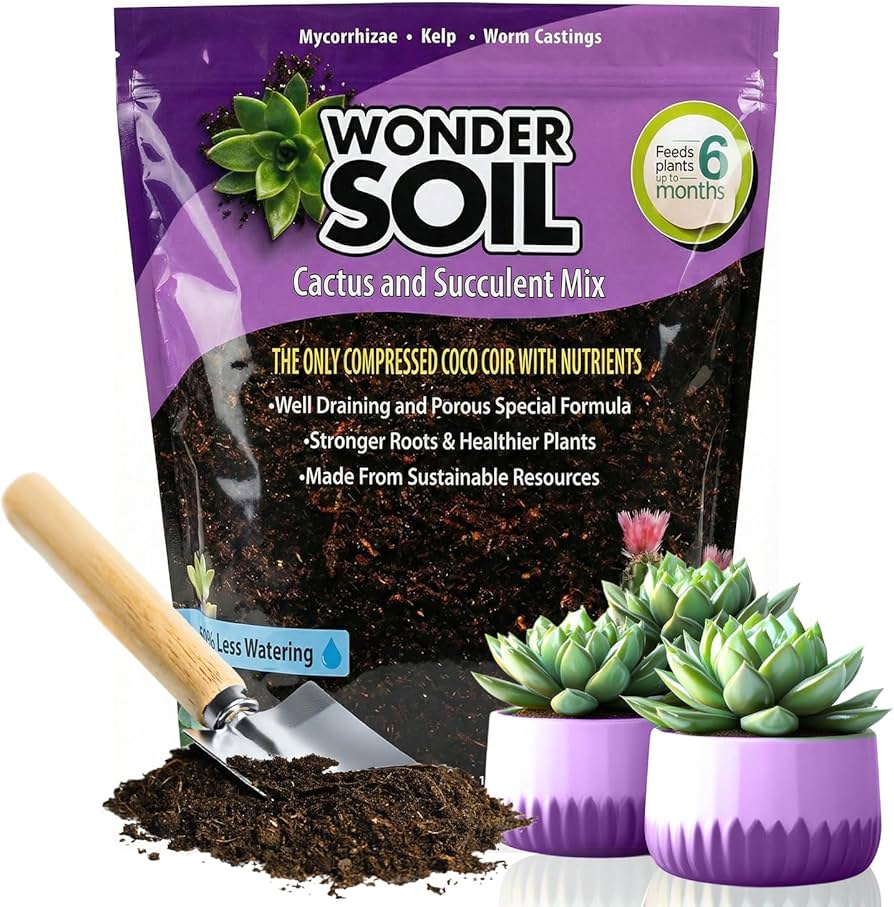 Eco-Friendly Succulent Soil Mix: DIY Sustainable Potting Solutions Using 2026's Zero-Waste Methods