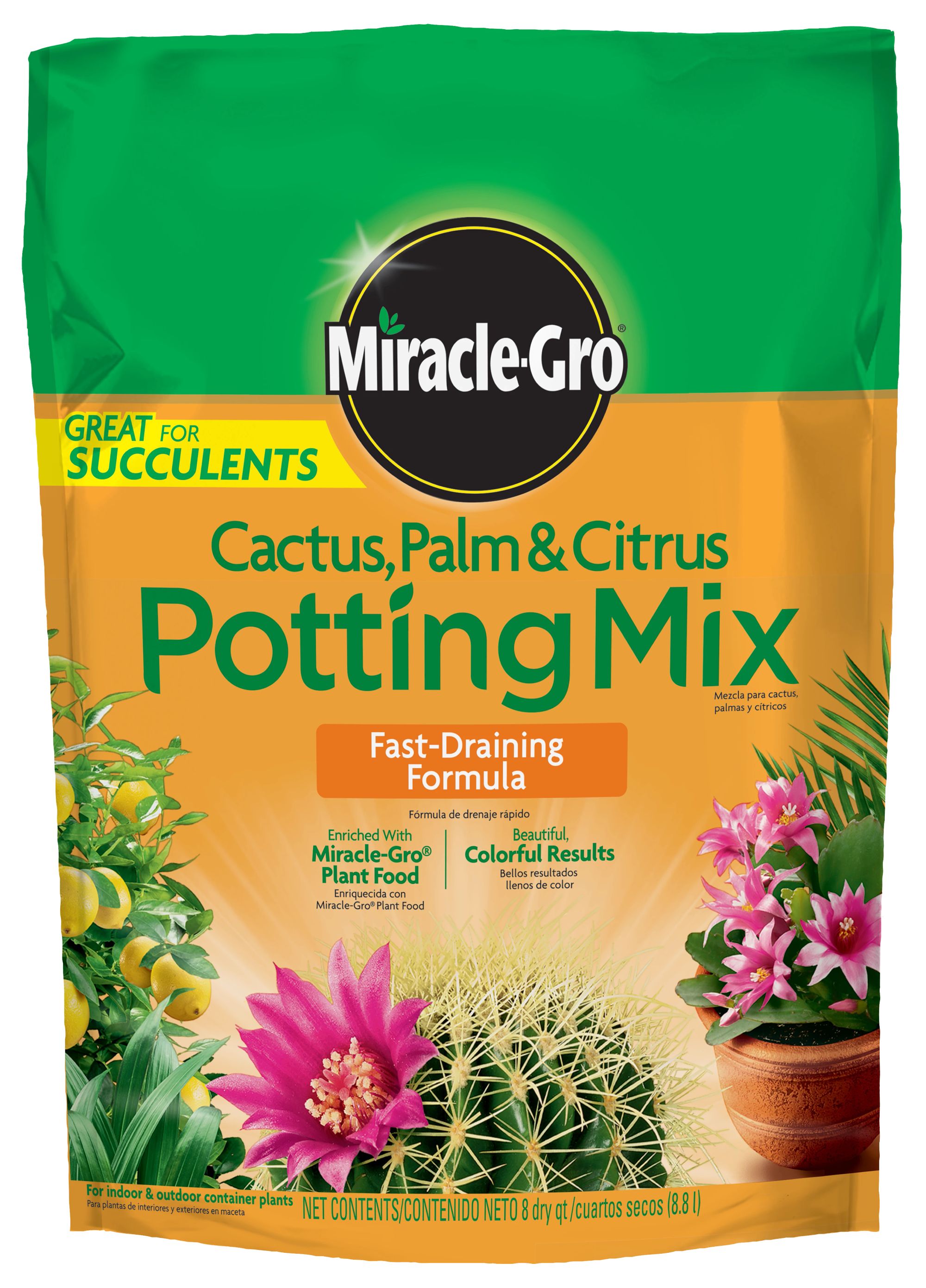 succulent soil