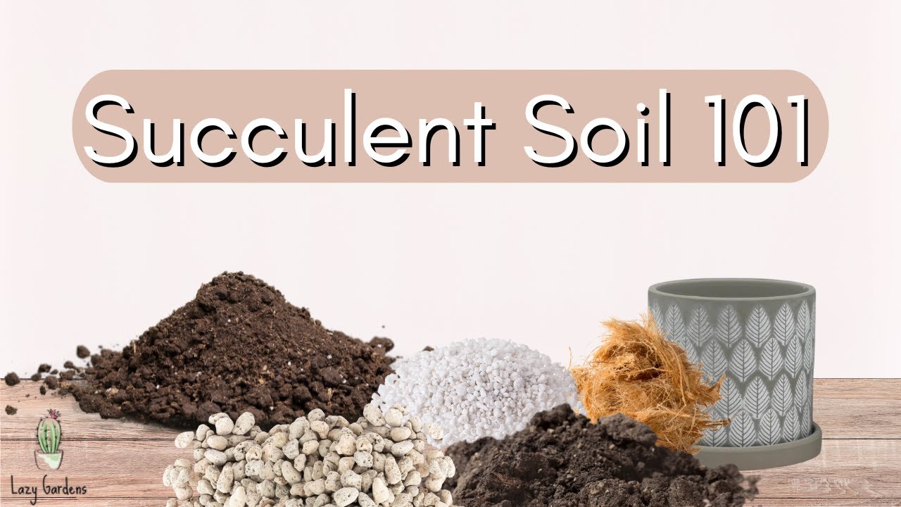 Step-by-step process of mixing succulent soil components including perlite, sand, and potting mix in container