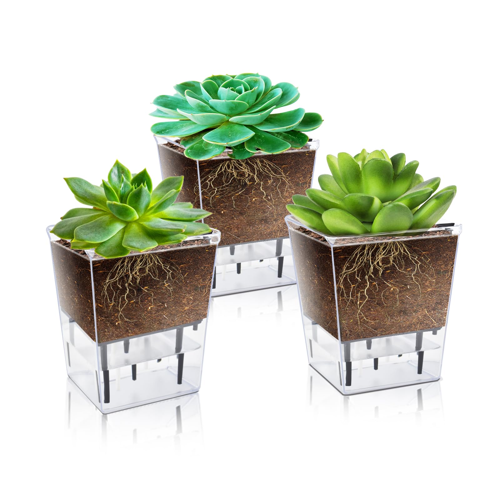 Self-Watering Succulent Planter Set