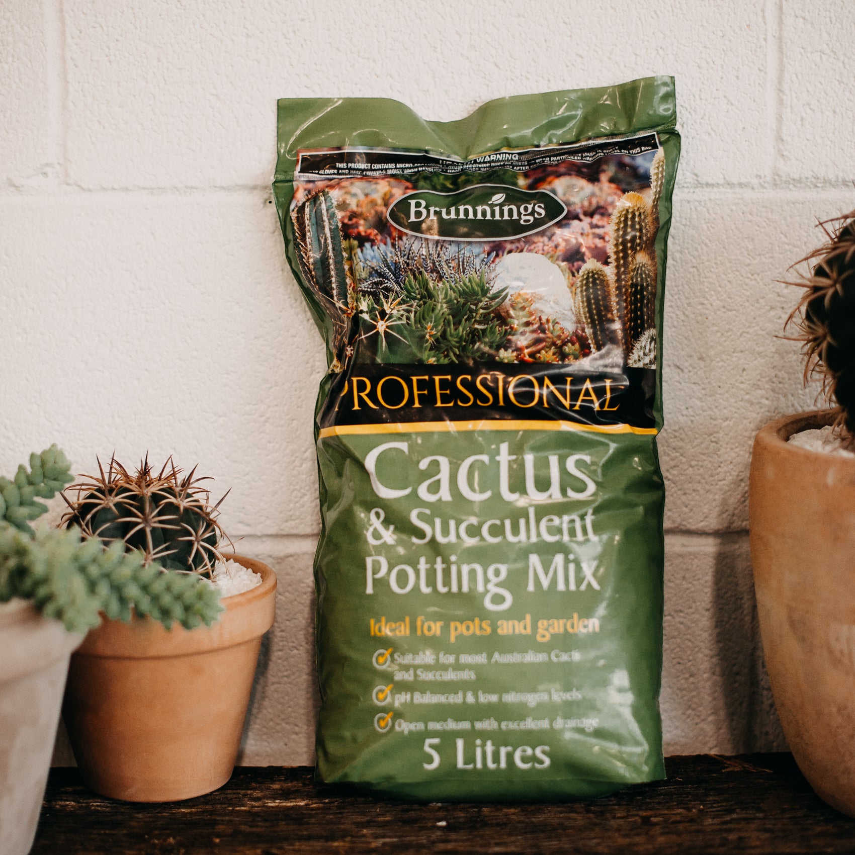 Cactus Potting Mix Bag