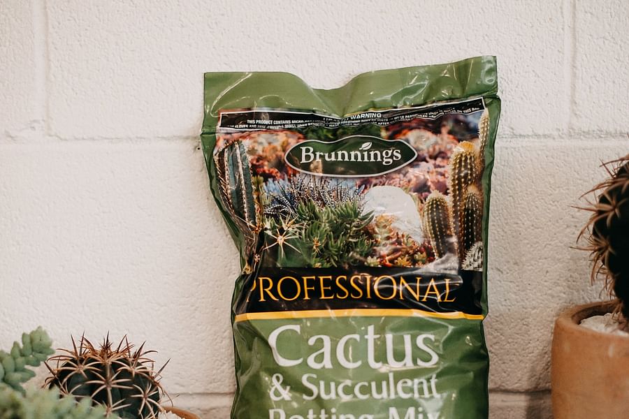Cactus Potting Mix Bag
