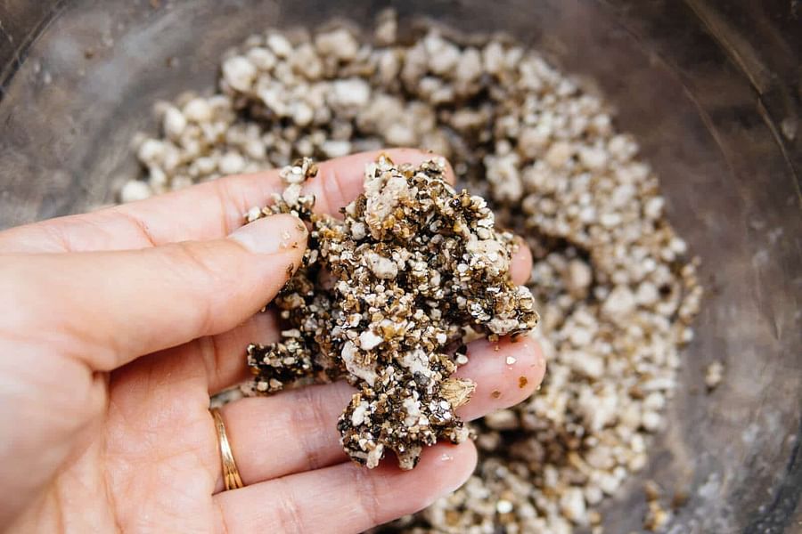 Perlite Pumice for Plants