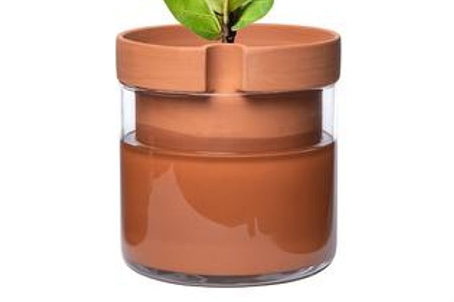 Self-Watering Pots for Succulents