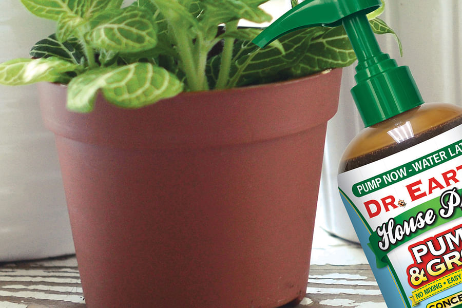 organic succulent fertilizer