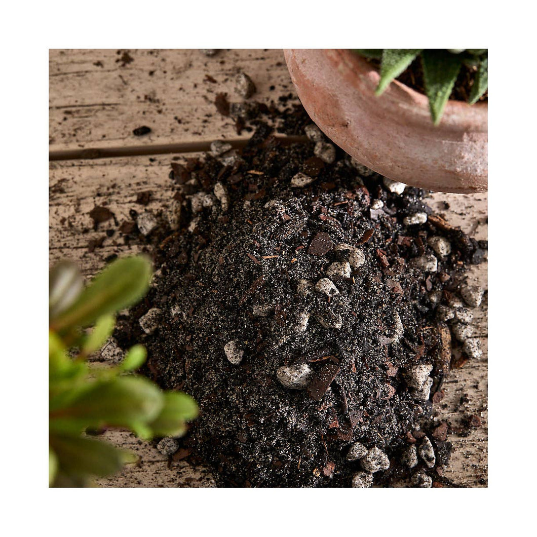 Organic Succulent Soil Mix