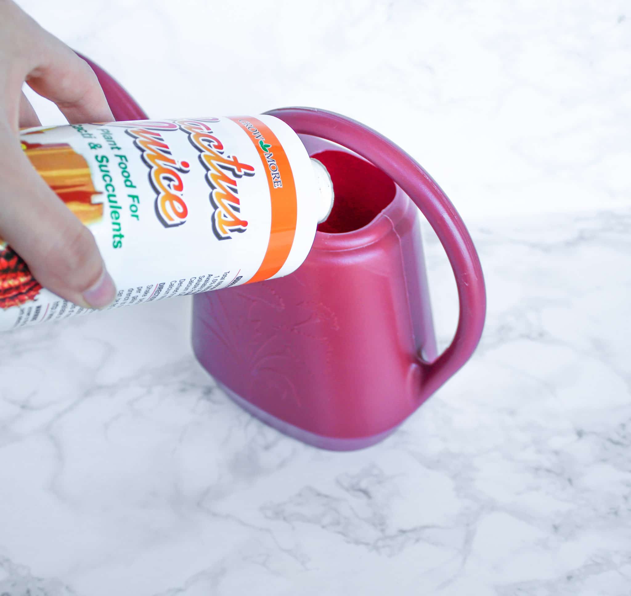 phosphorus fertilizer for succulents