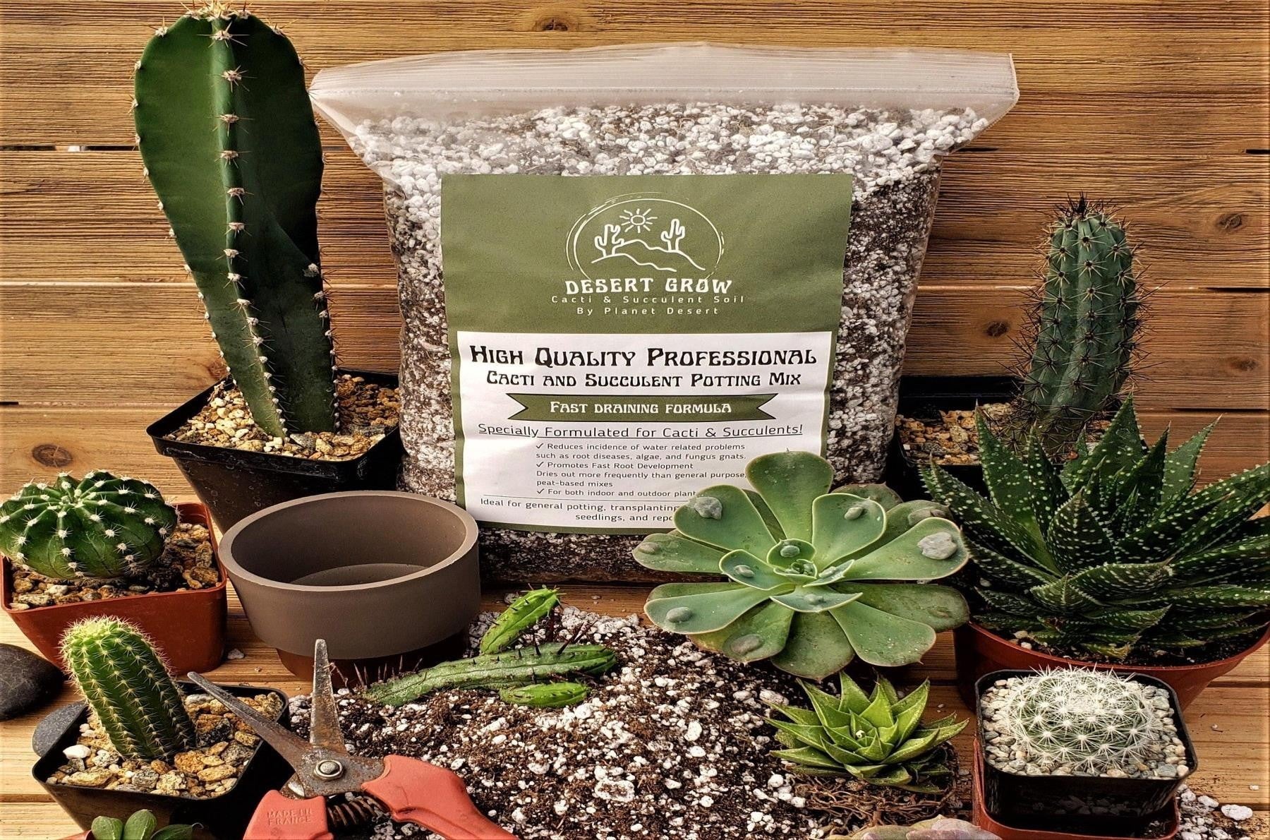 Standard Cactus Soil Mix
