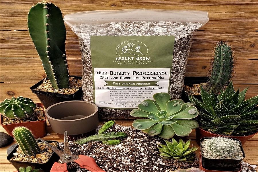 Standard Cactus Soil Mix