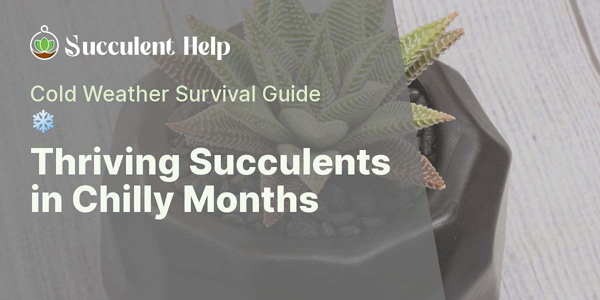 Can succulents survive 6 months of cold weather?