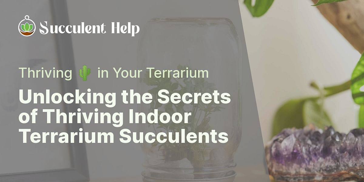 Can succulents thrive in an indoor terrarium?