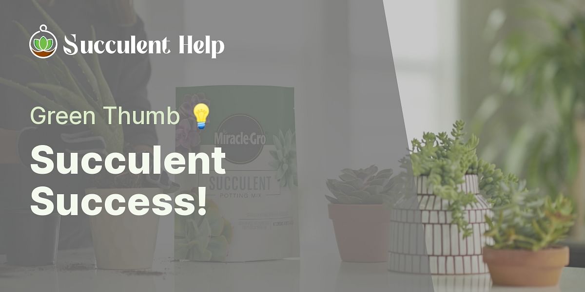 Can you use regular MiracleGro on succulents?