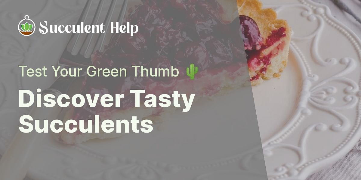 Edible Succulents and Recipes Quiz Test Your Knowledge
